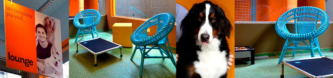 MOM Lounge para cães e gatos